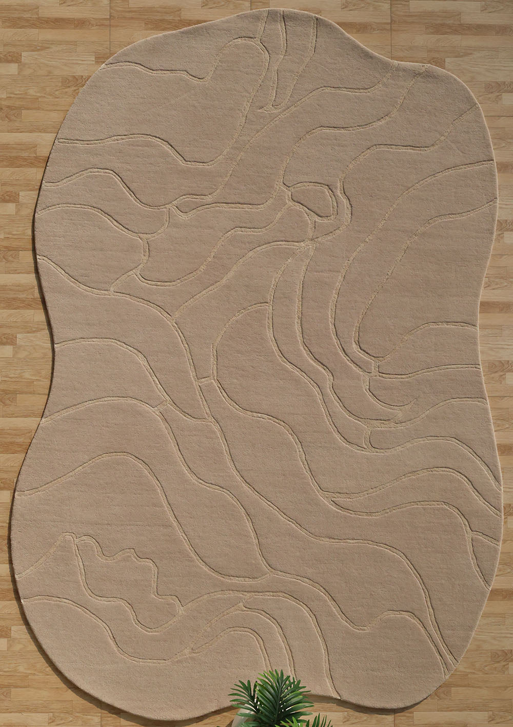 Handmade Living Room Off-White Color Entryway Decor Hand Tufted Rug HTWV-109