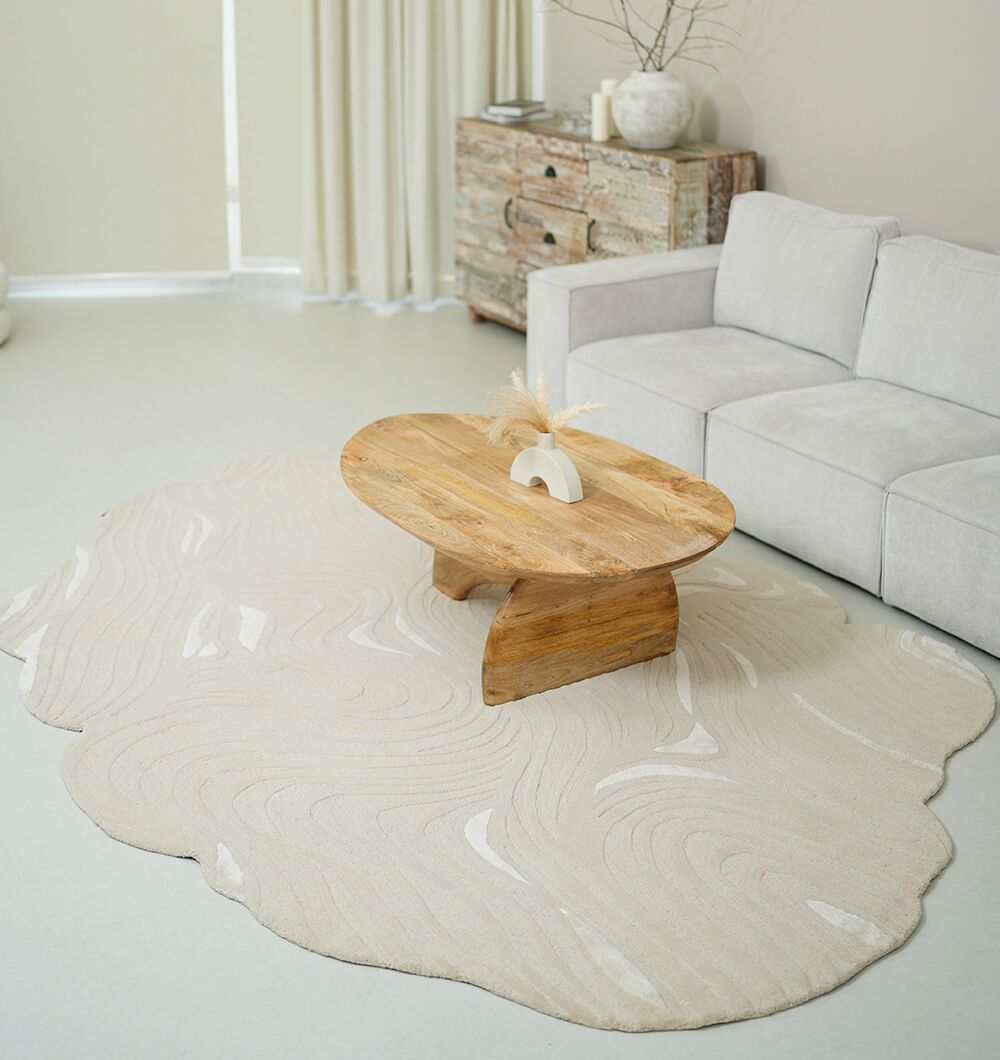Natural White Color Handmade Area Rug - HTWV-141 (200 x 300 cm)