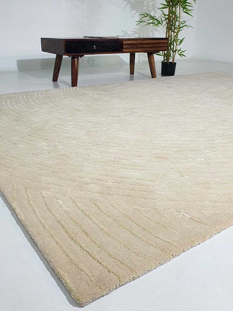 Handmade Hand-Tufted Area Rug HTWV-63