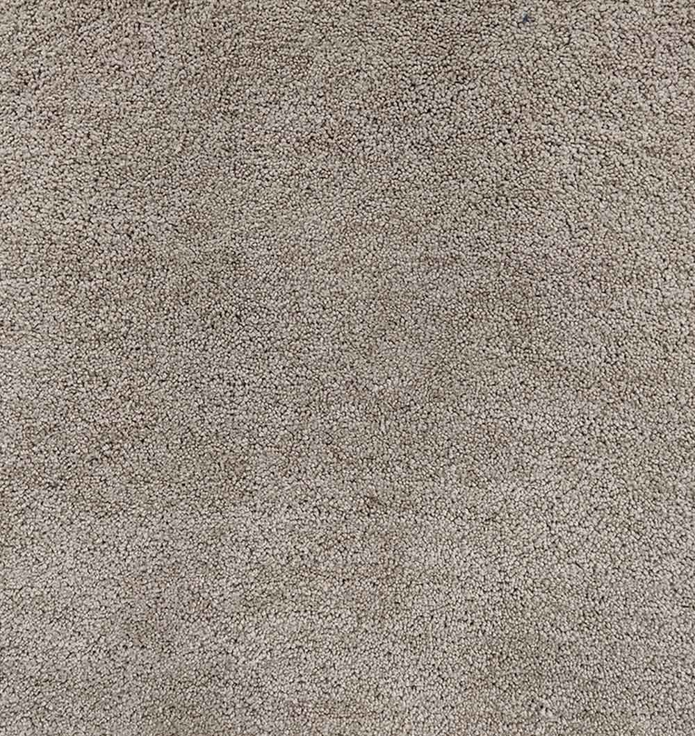 Beige Handmade Shaggy Rug For Livingroom SNR-12