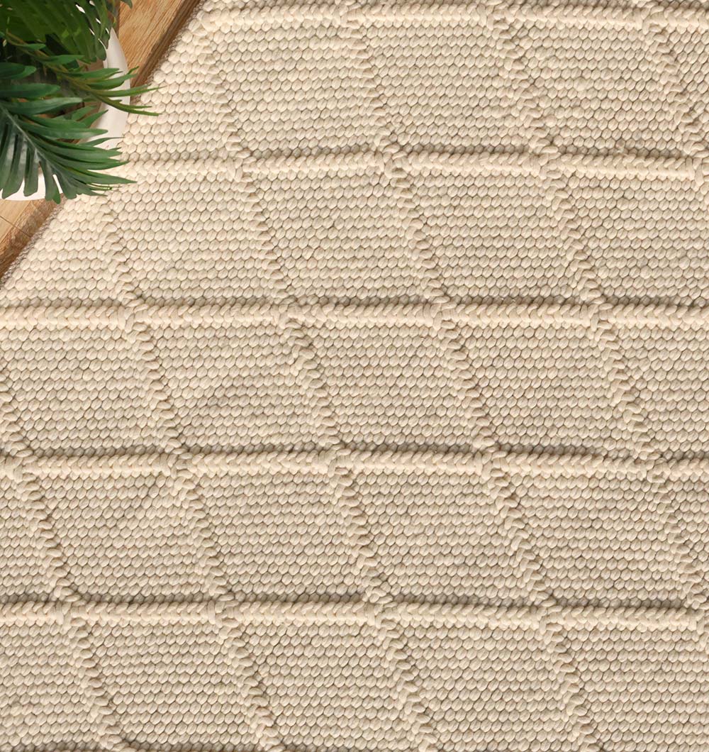 Decorative Area Hand Woven Rug SRN-041