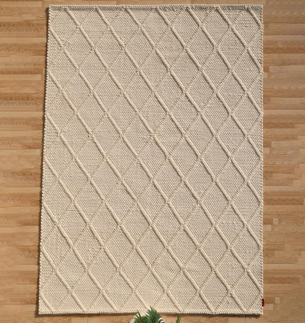 Decorative Area Hand Woven Rug SRN-041