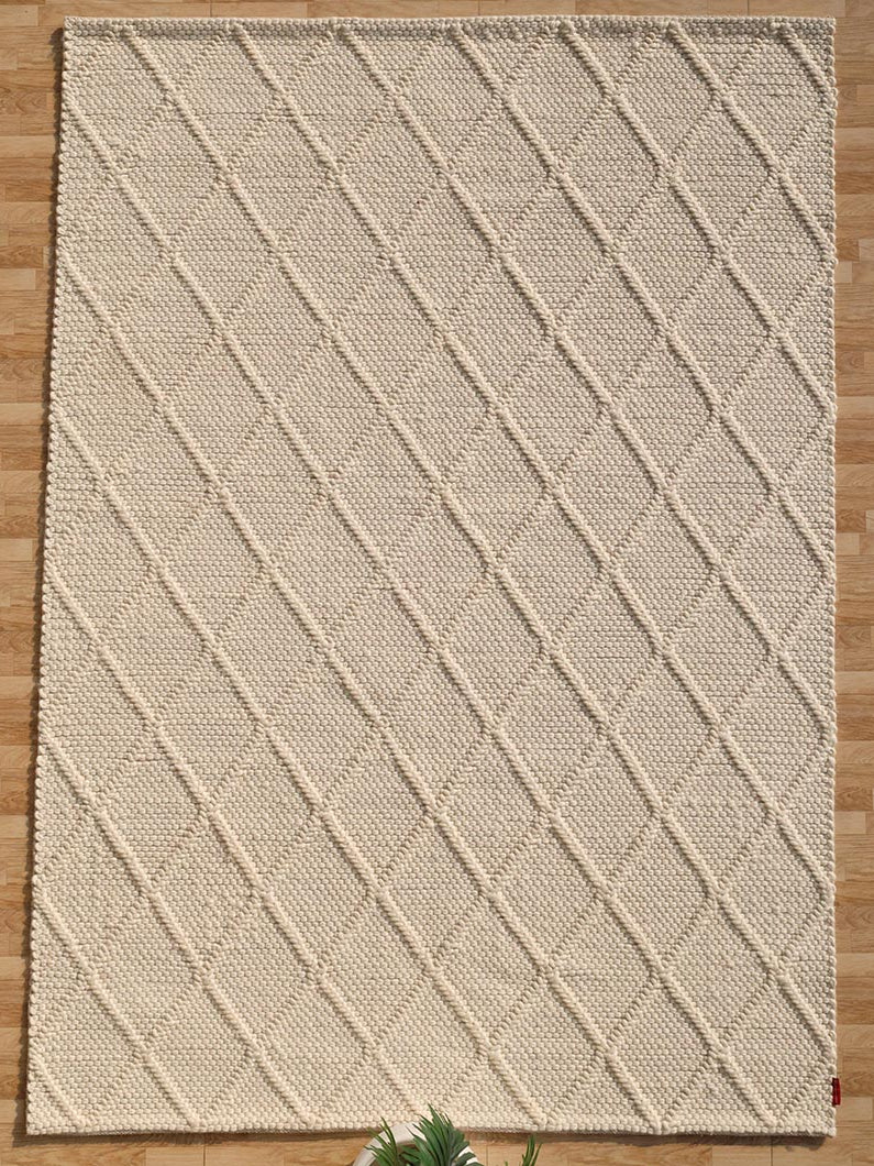 Decorative Area Hand Woven Rug SRN-041